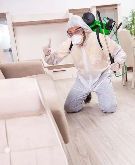 Commercial Pest Control Pickering